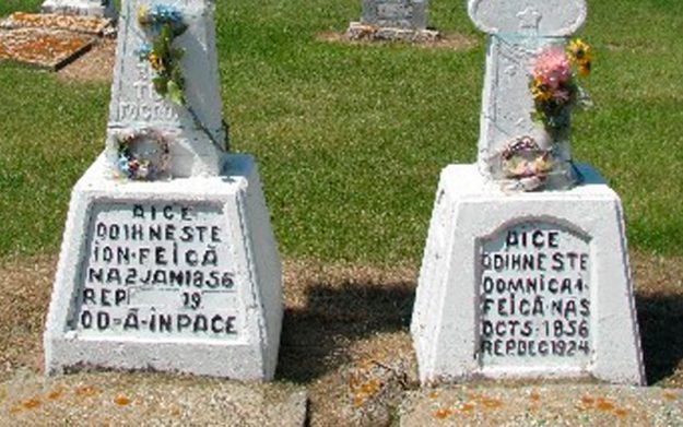 Feica-Ion-and-Domnica